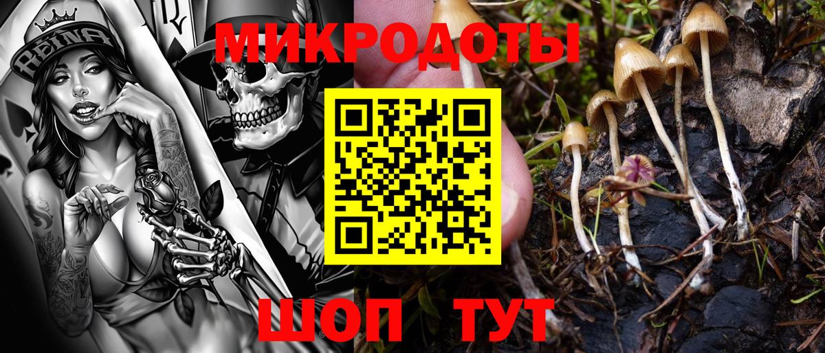 Псилоцибиновые грибы ЛСД Десногорск