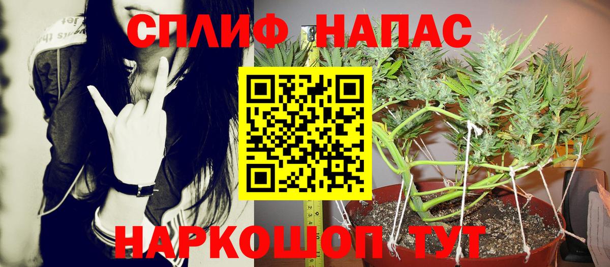 Конопля OG Kush Десногорск